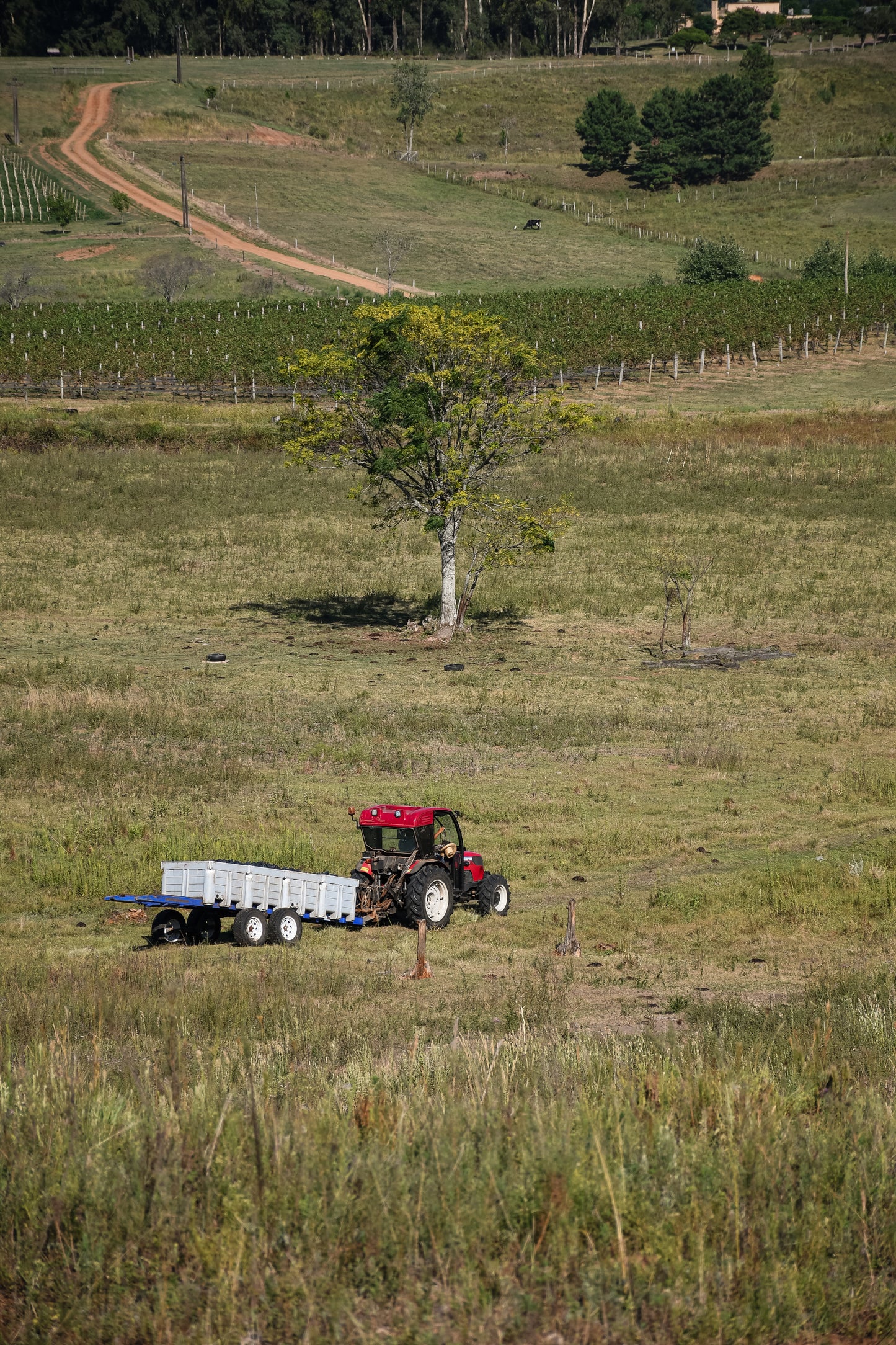 Pack Harvest 2024