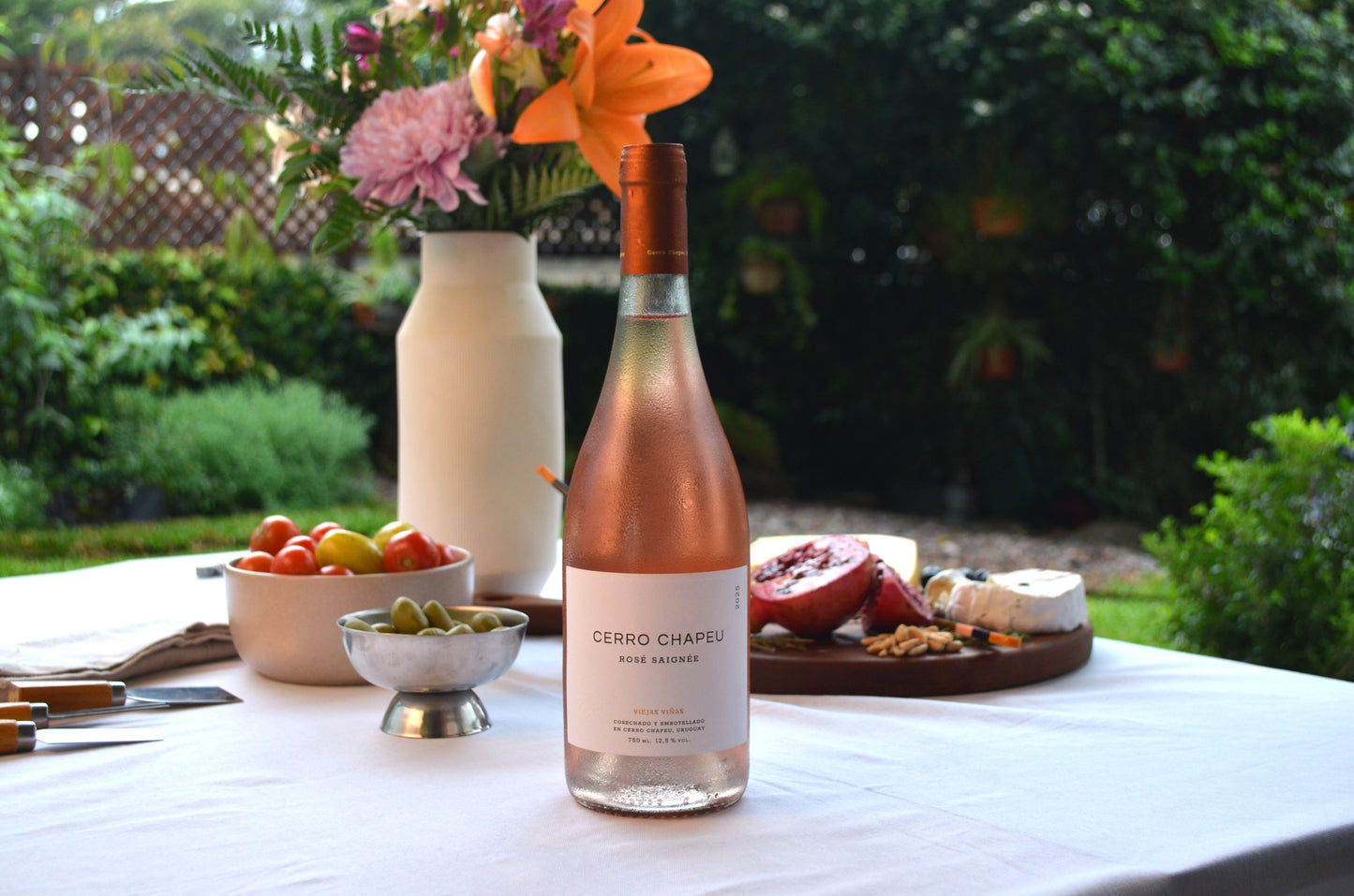 Cerro Chapeu Viejas Viñas Rosé Saignée