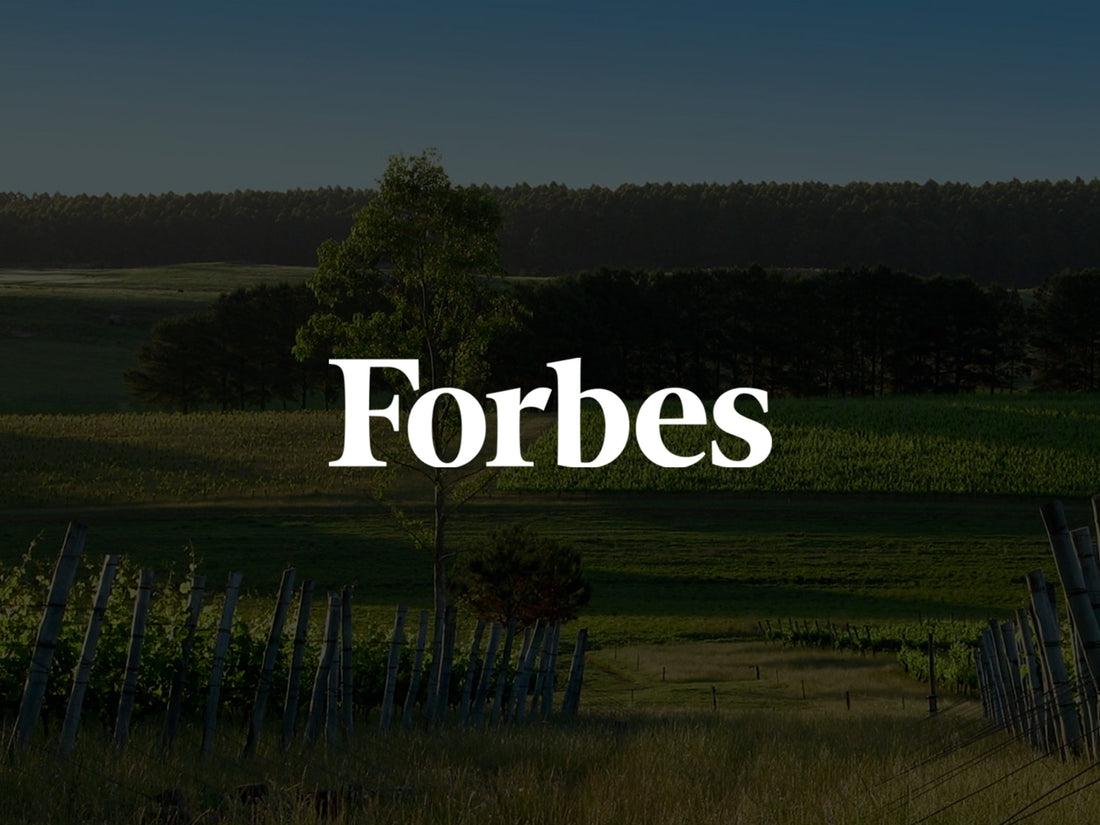 Forbes, Jill Barth, Nov. 2018