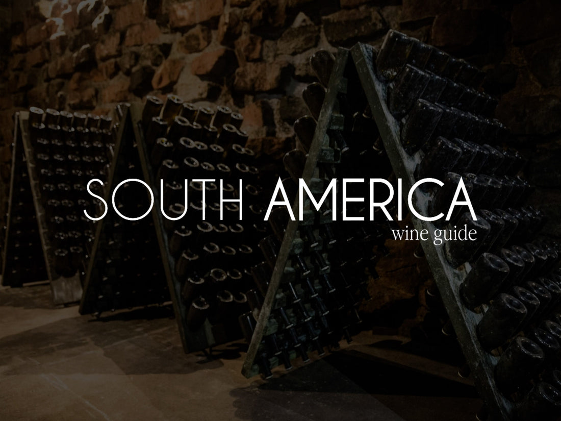 South America Wine Guide, Amanda Barnes, Nov. 2021