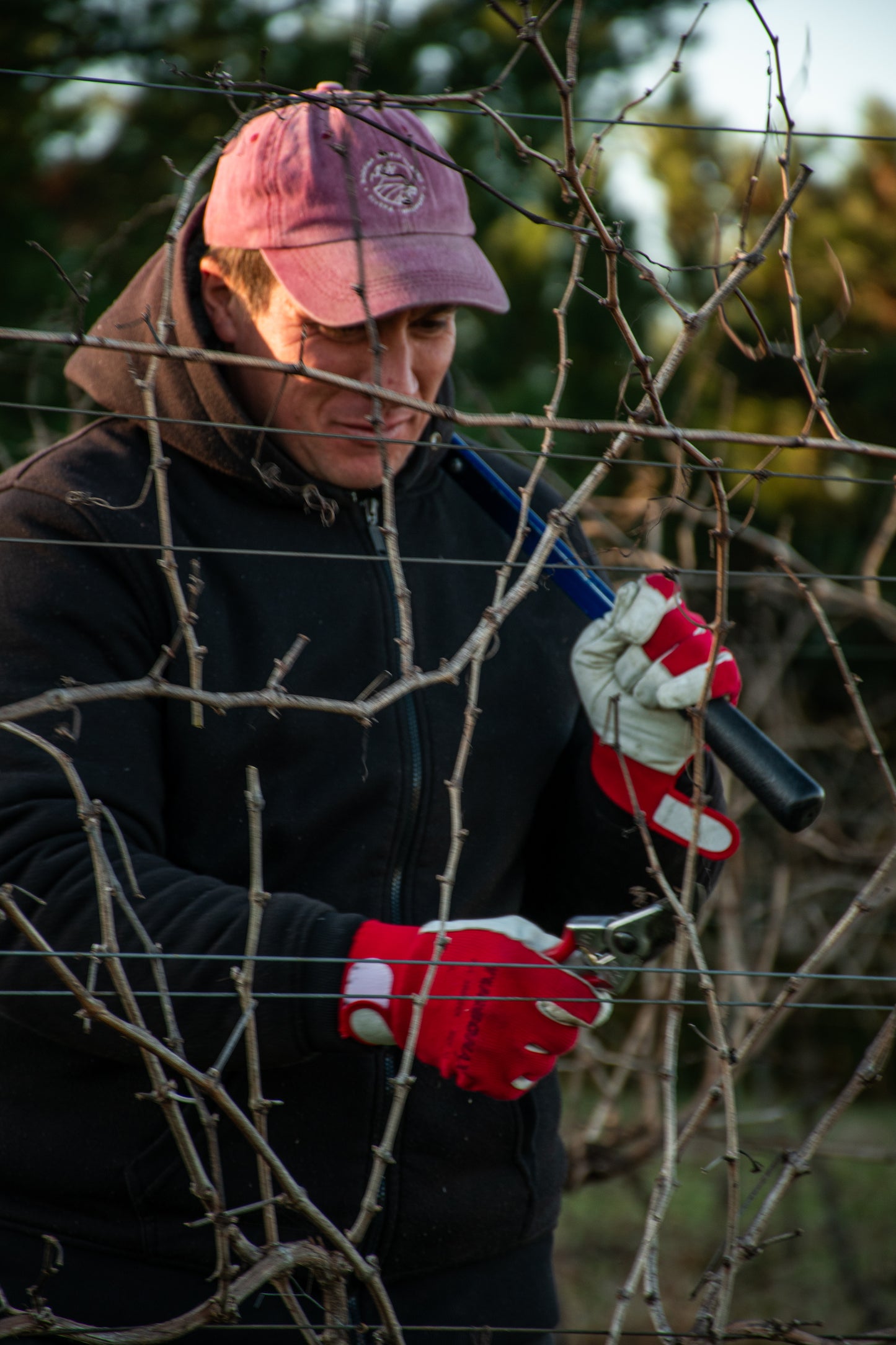 Edsom podando en la viña sombrero cerro chapeu
