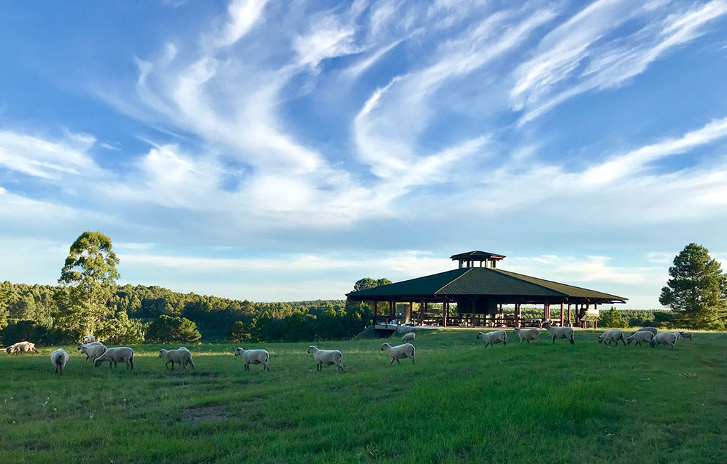 Bodega Cerro Chapeu – cerrochapeu