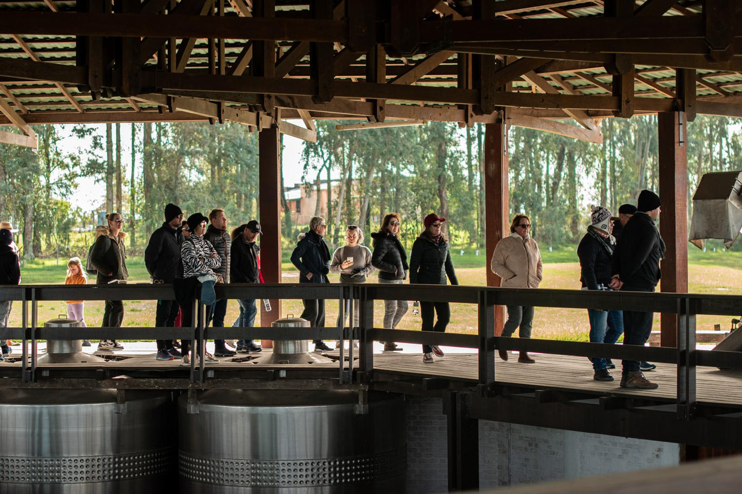 Experiencia de vino y paisaje en Cerro Chapeu