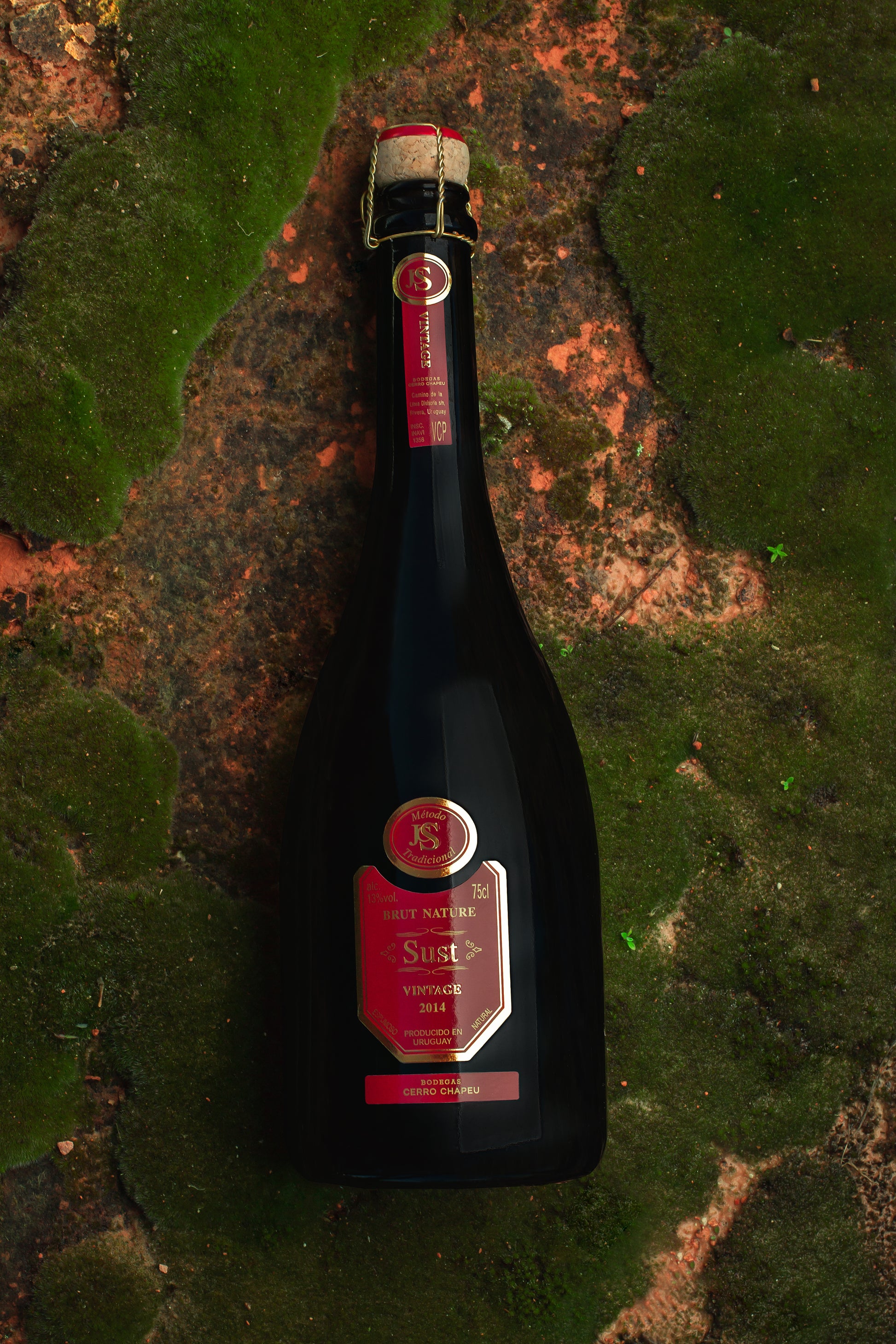 Sust Brut Nature Vintage